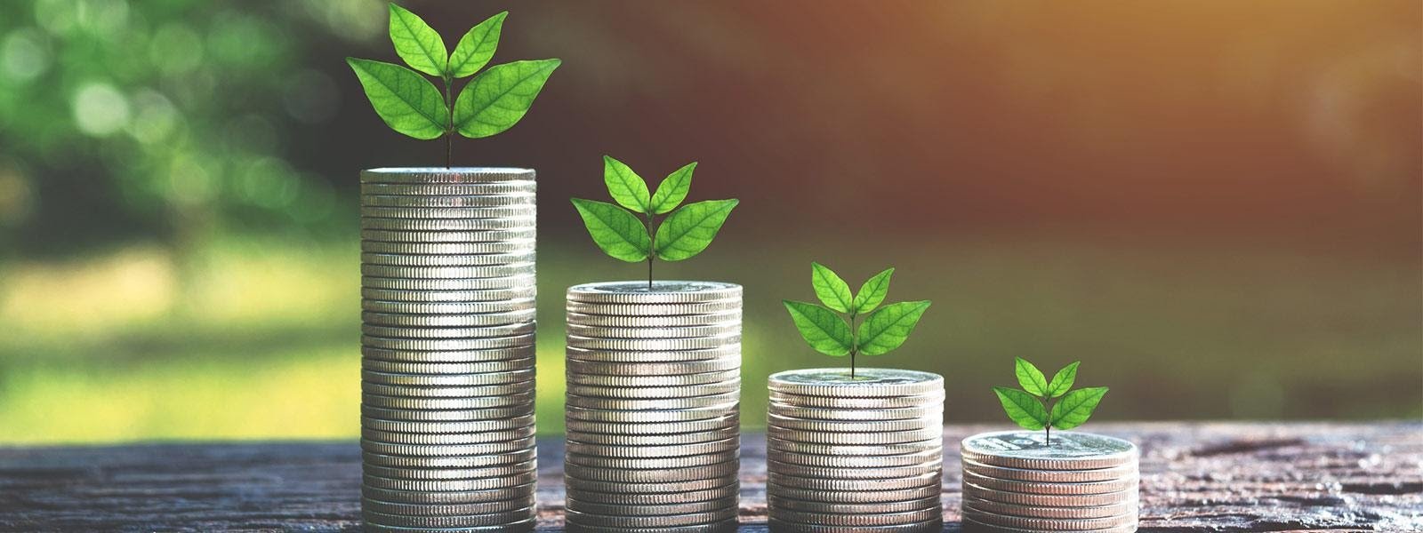 cessione del quinto dipendenti pubblici